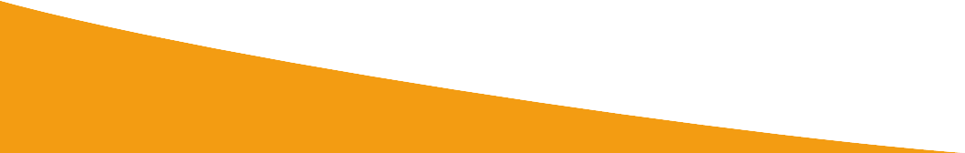BK Slider Background orange