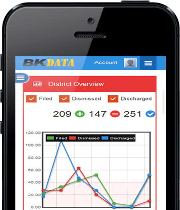 BK Data Mobile Alt View
